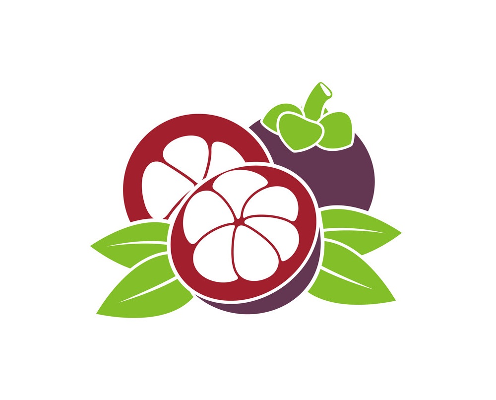 mangosteen fruit icon