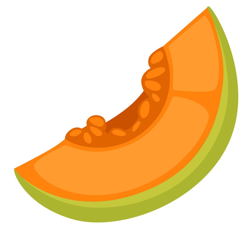 melon slice icon