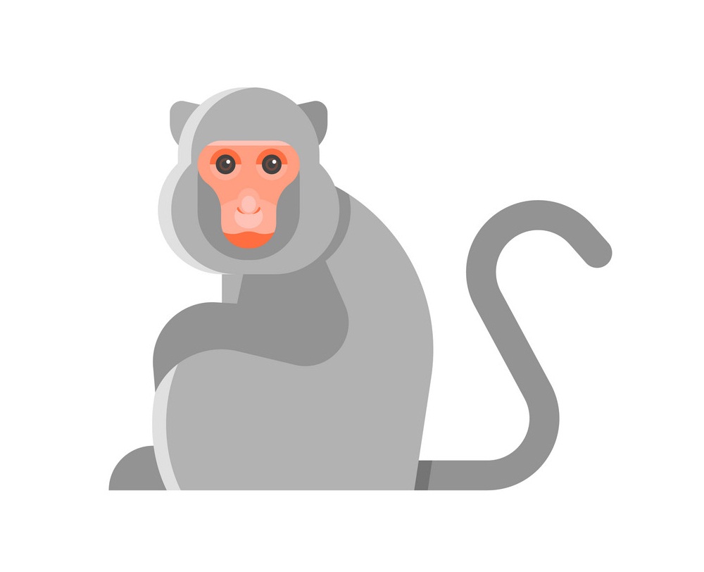 monkey flat design