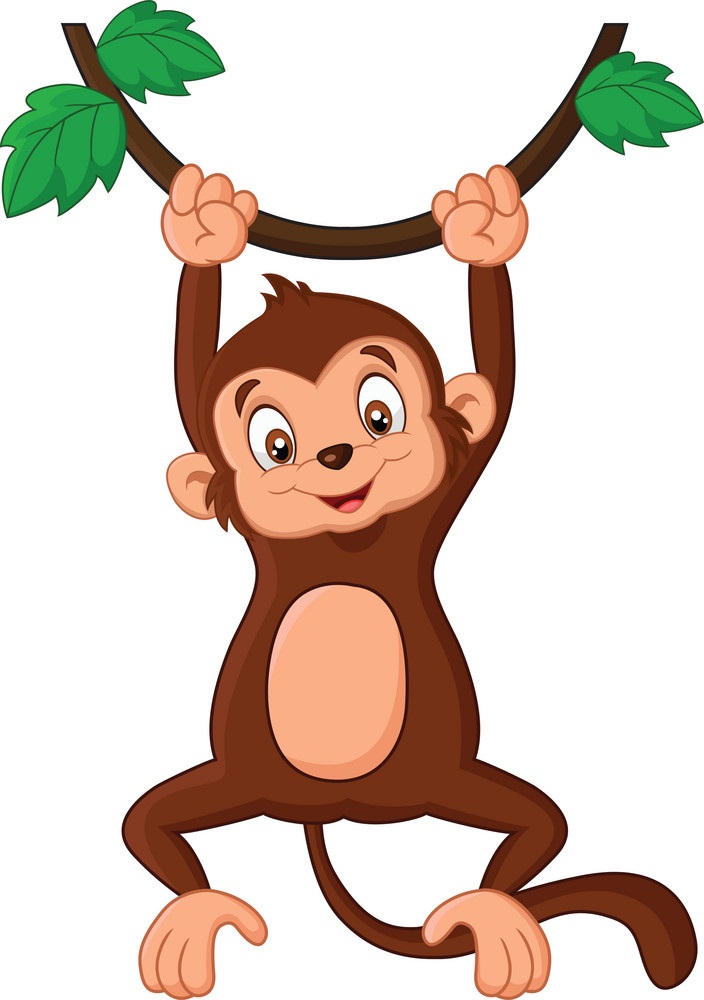 monkey hanging on a liana