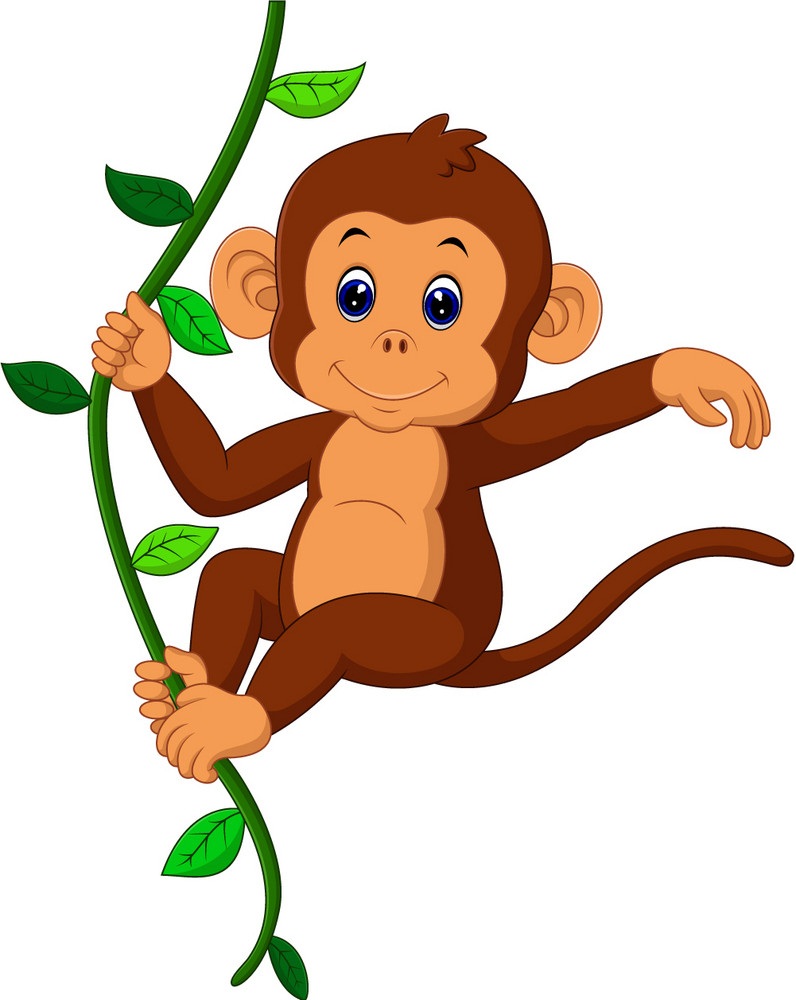 monkey on a liana