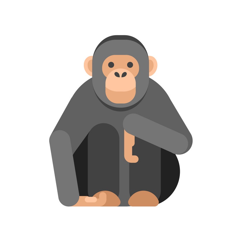 monkey sitting flat design