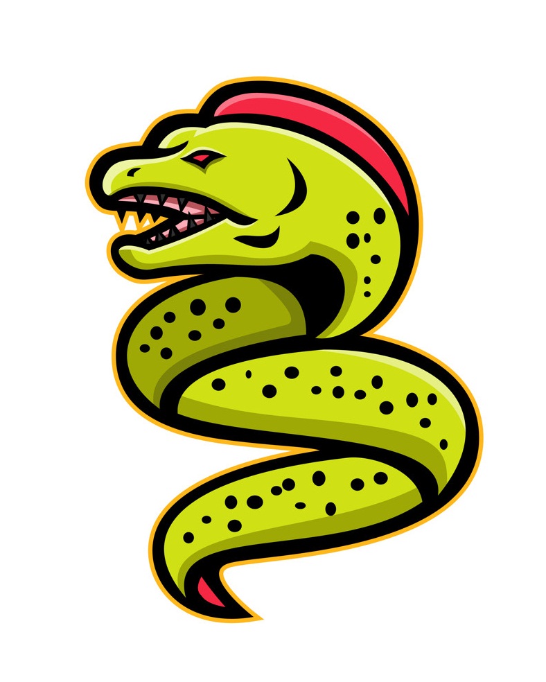 moray eel mascot