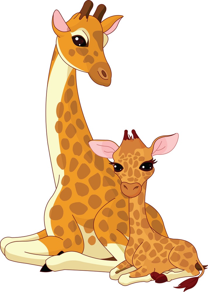 mother giraffe and baby