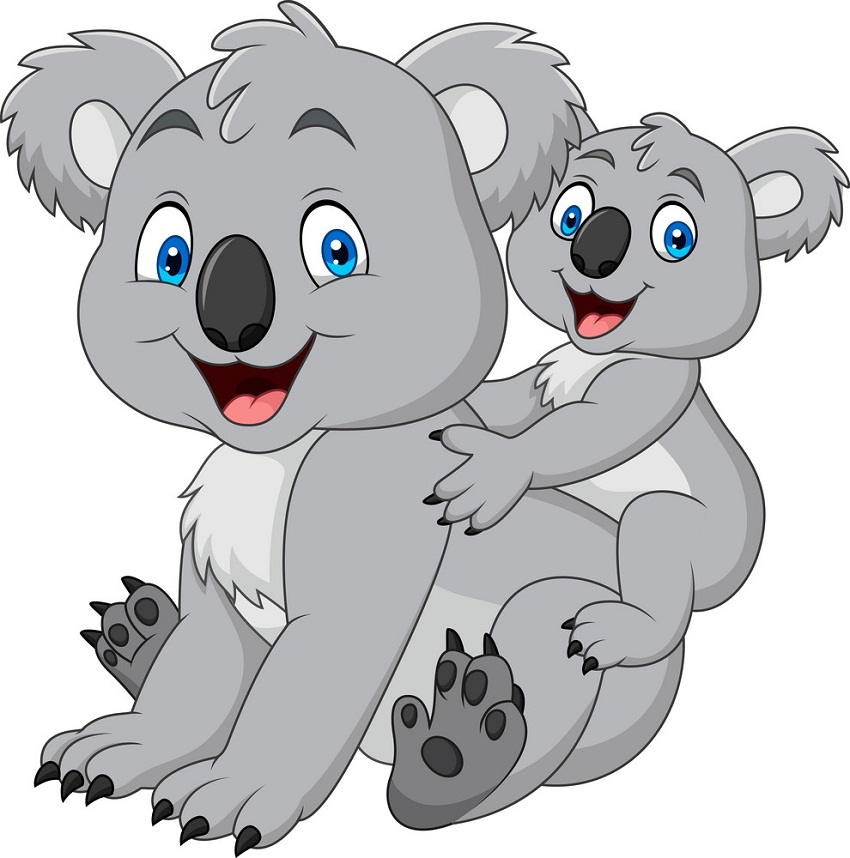 mother koala and baby