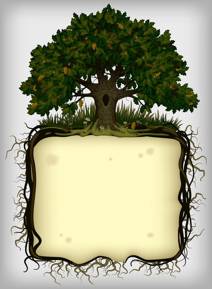 oak tree with roots frame
