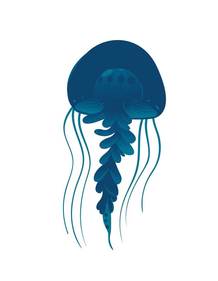 ocean jellyfish