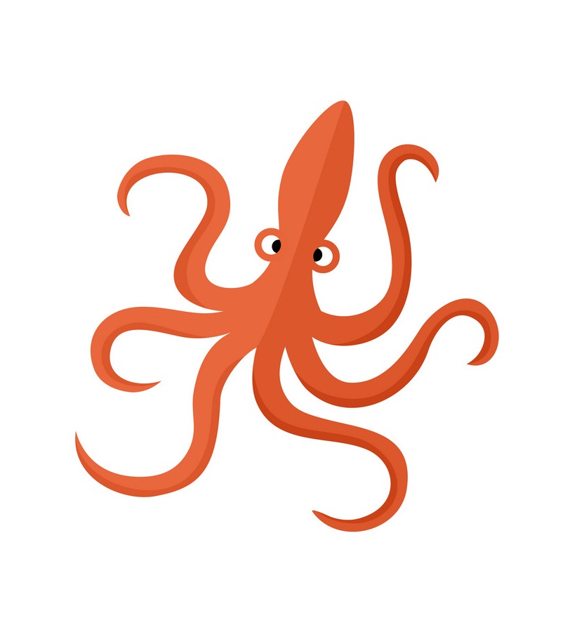 orange octopus with long tentacles
