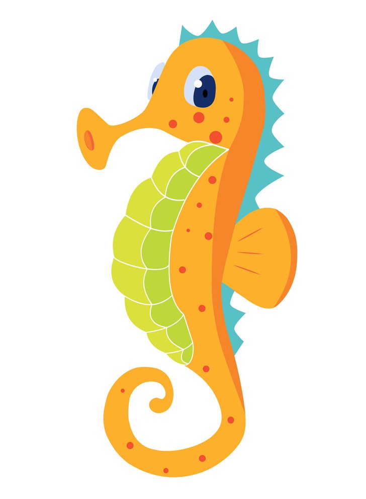 orange seahorse