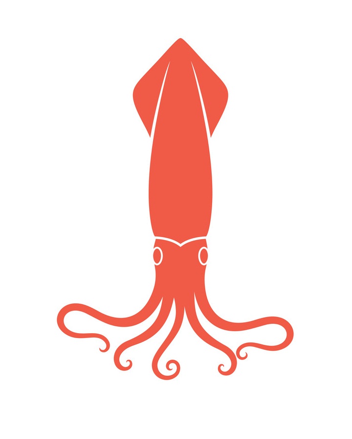 orange squid icon