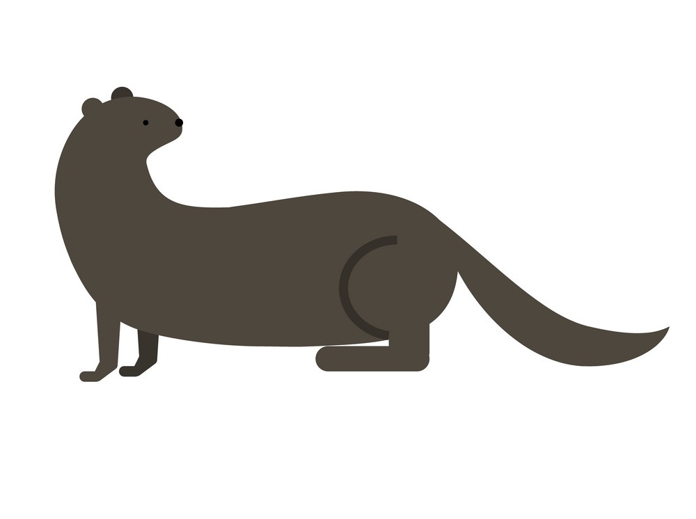 otter flat design