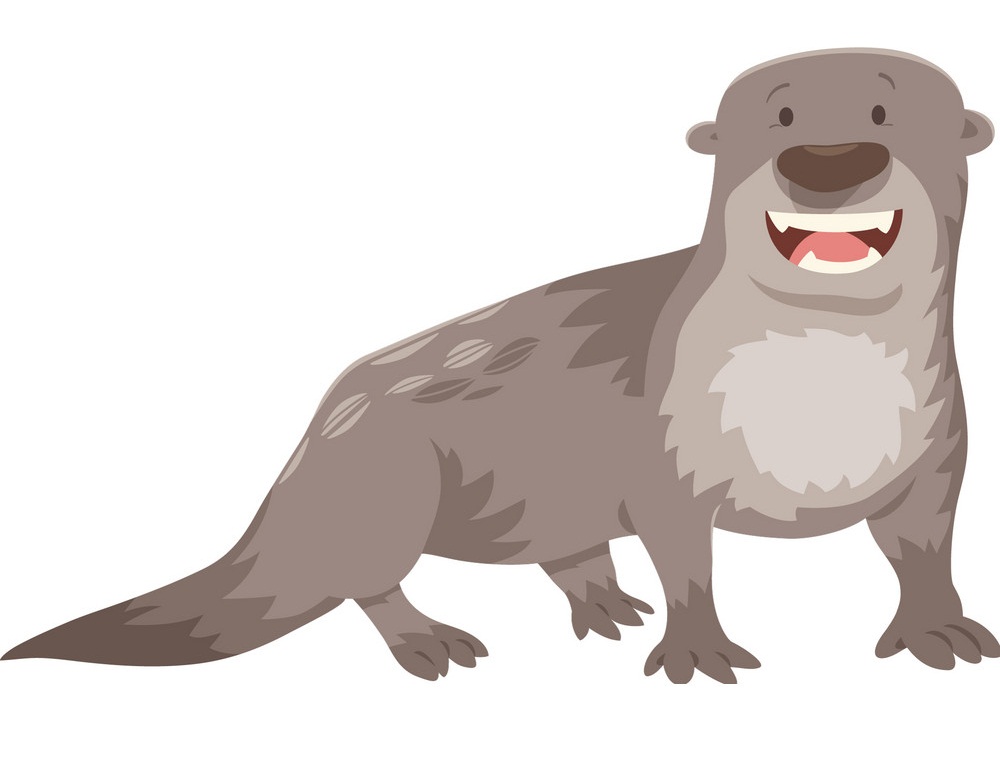 otter smiling