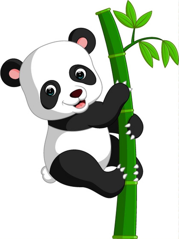panda on bamboo tree