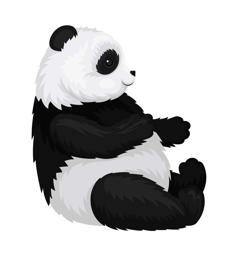 panda sitting side view