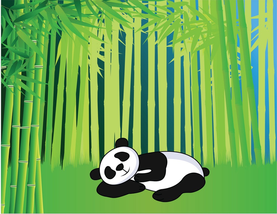 panda sleeping on bamboo forest