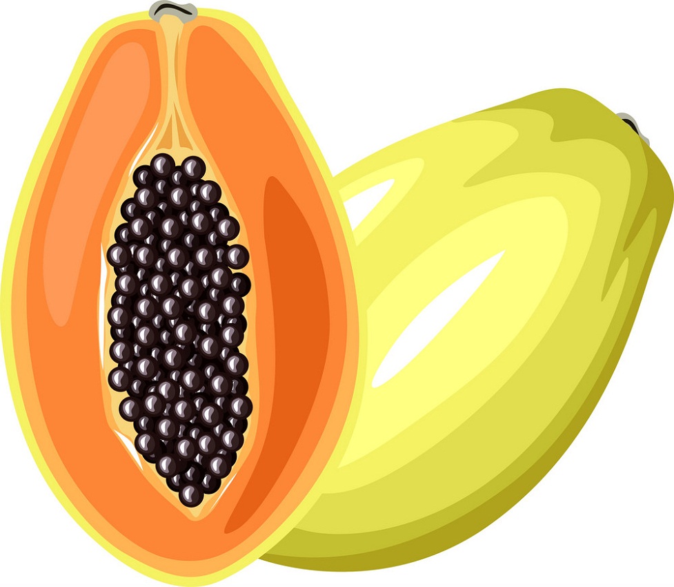 papaya fruit 1