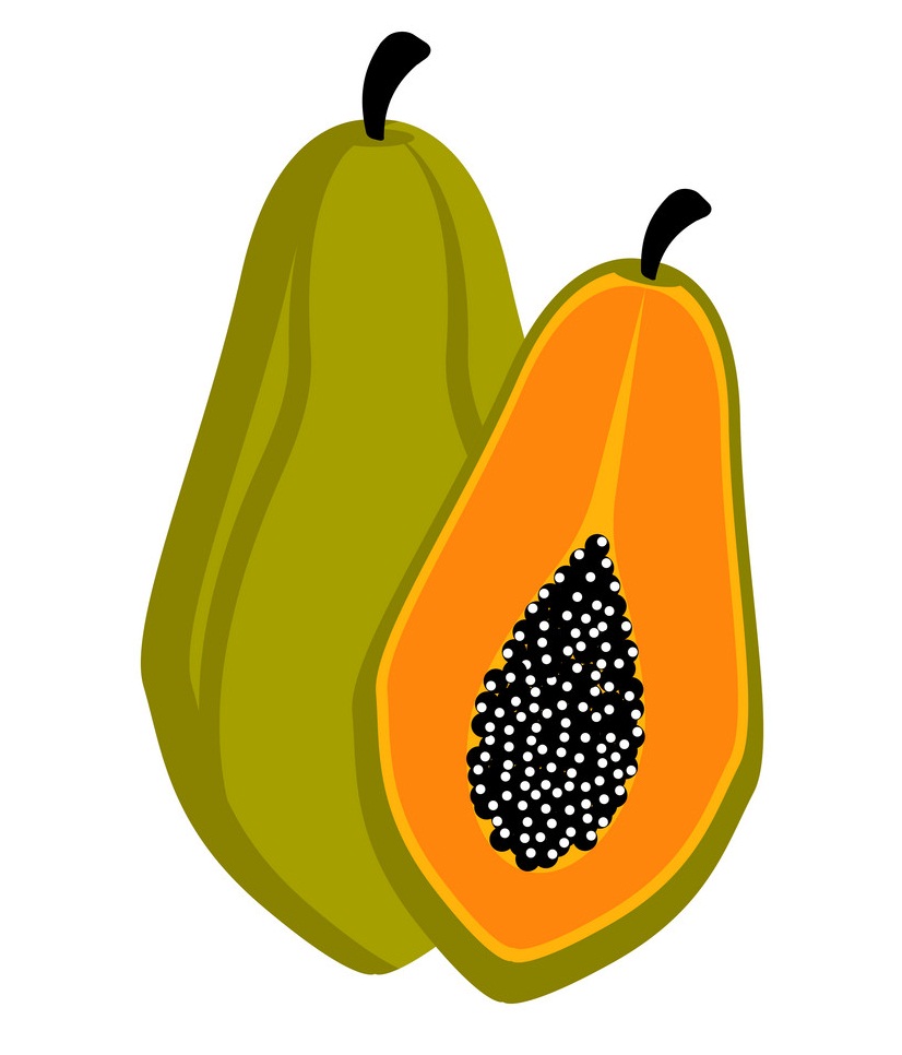 papaya fruit 2