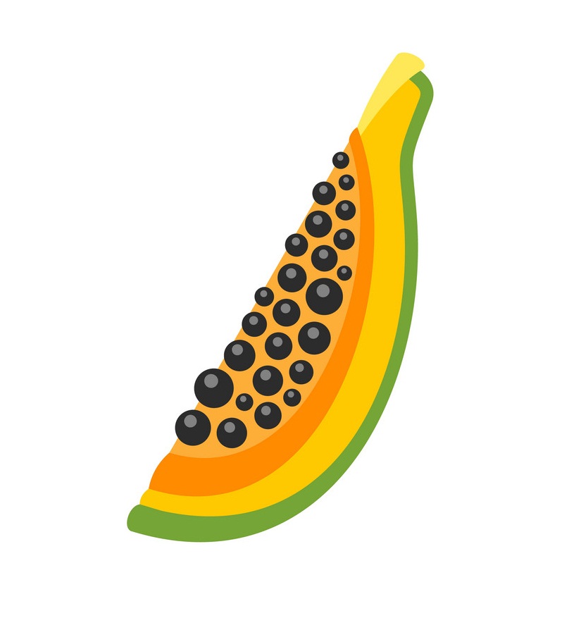 papaya piece flat icon