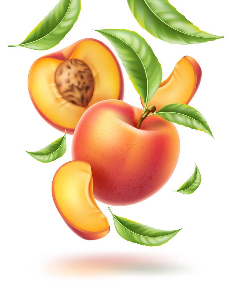 Peach Clipart