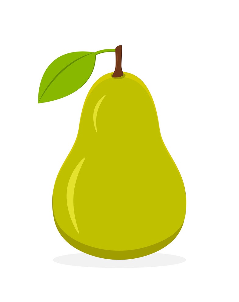 pear fruit flat design