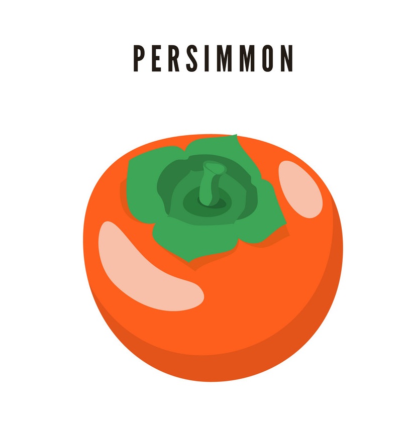 persimmon flat design