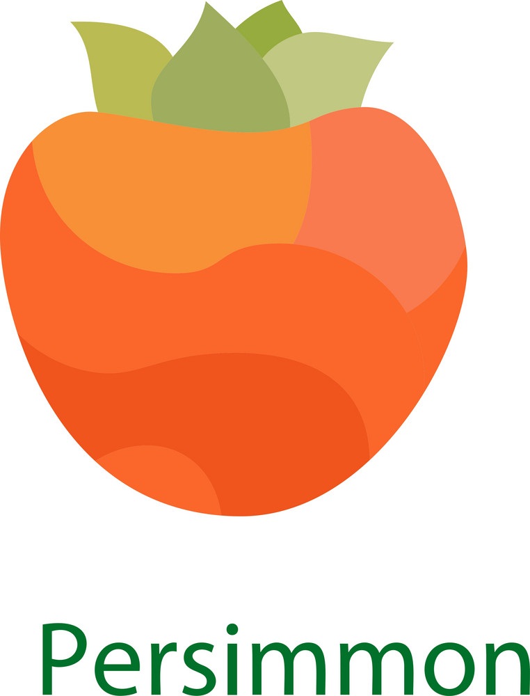 persimmon flat icon