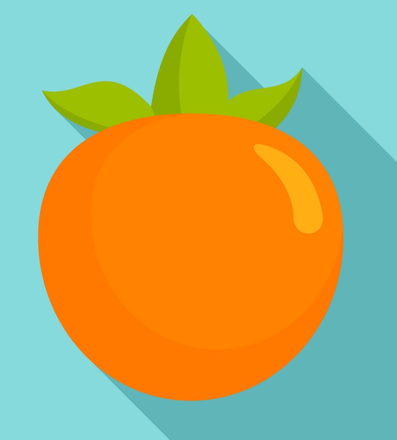 persimmon fruit icon on blue background