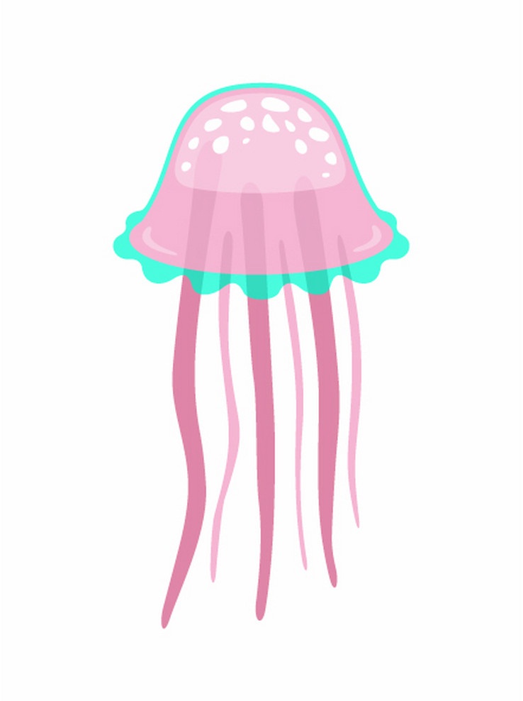 pink and blue jellyfish