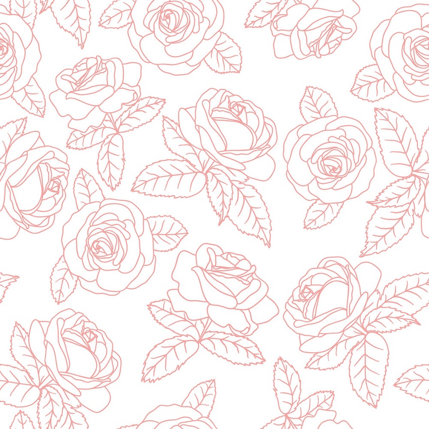 pink roses outline