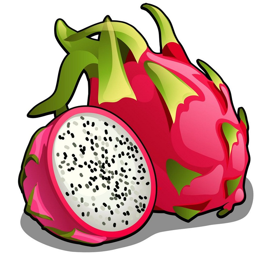 Dragon Fruit Clipart