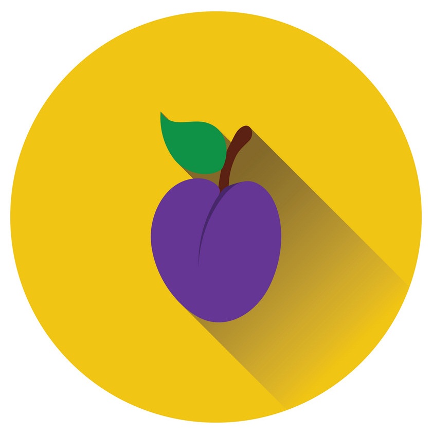 plum logo