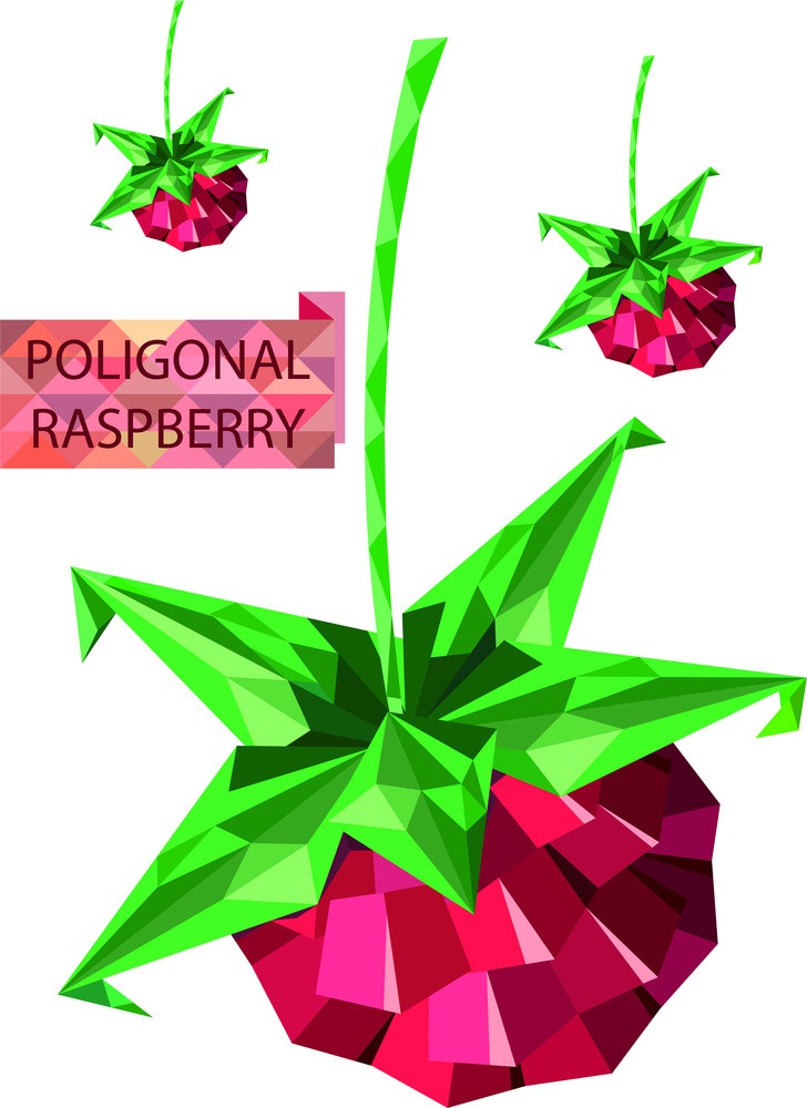 poligonal raspberry