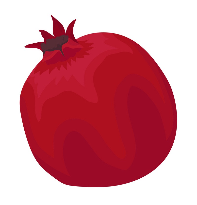 pommegranate flat icon