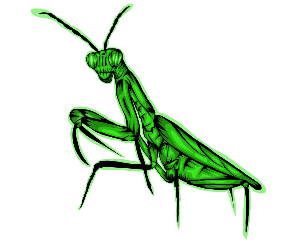 praying mantis design