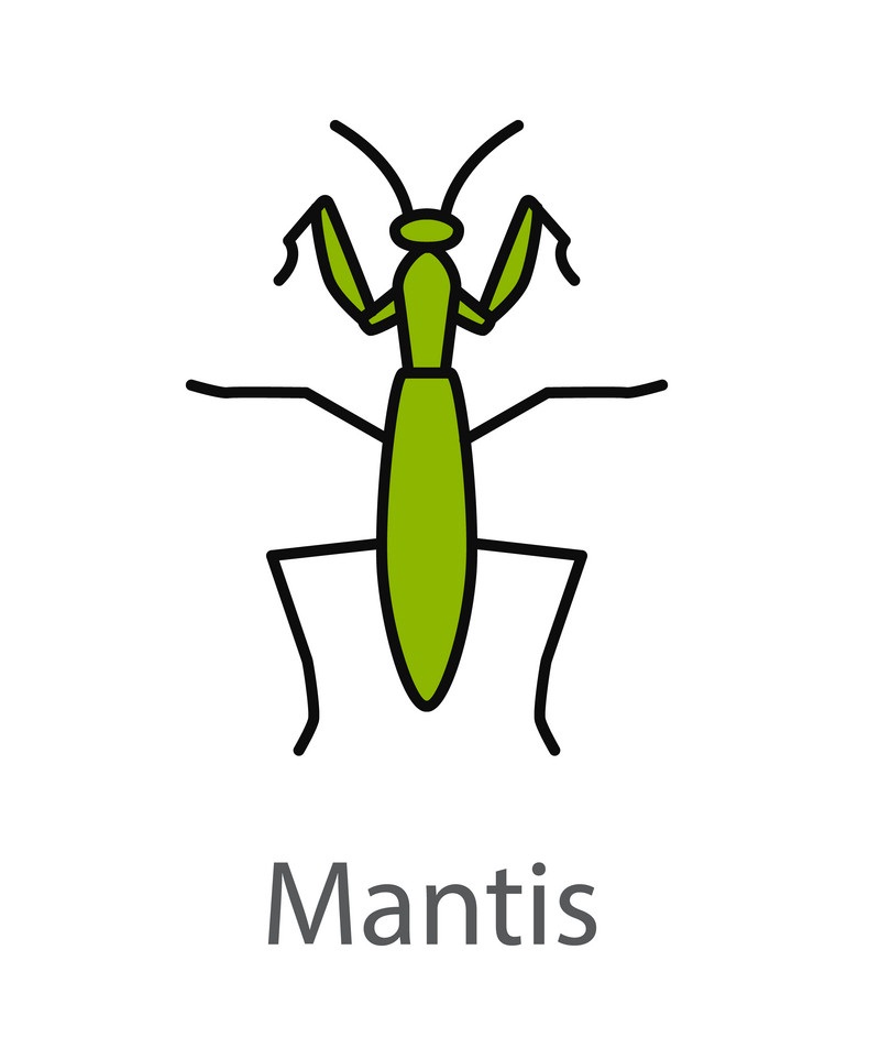 praying mantis simple icon