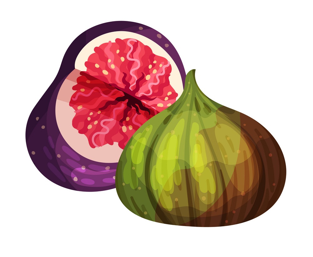 purple and green figs