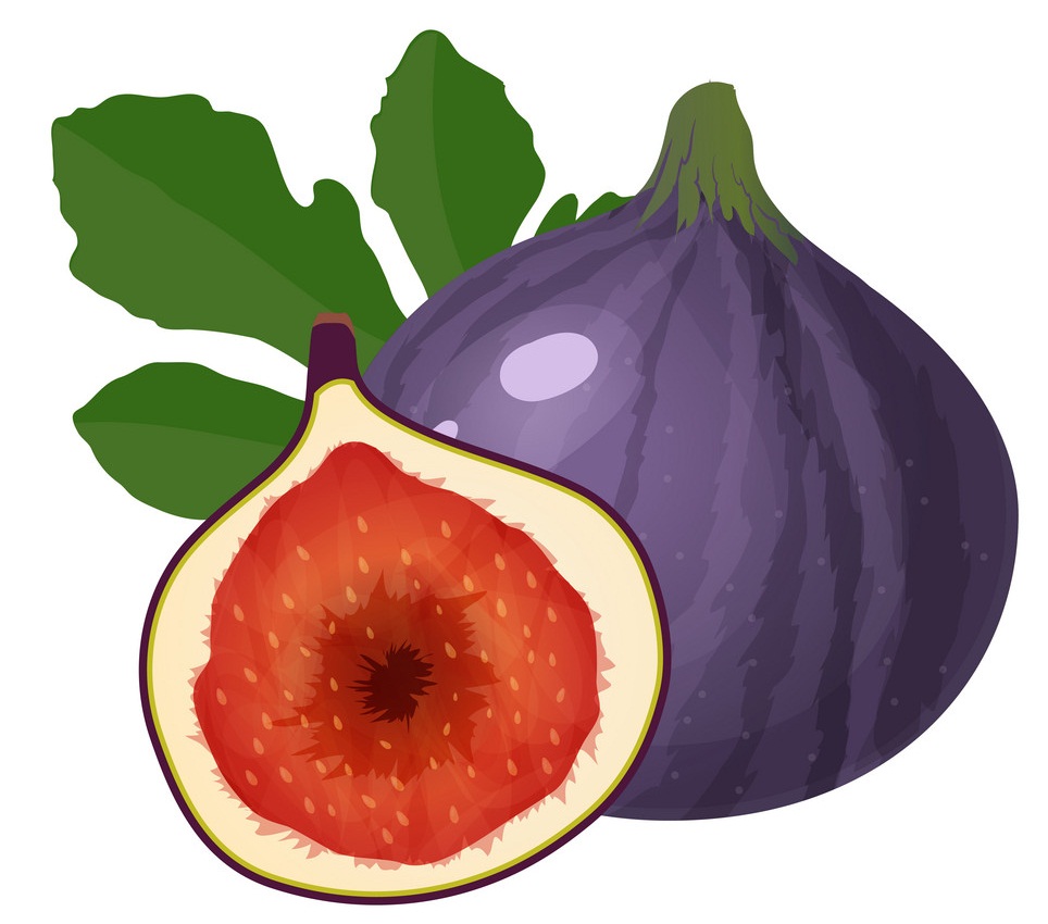 purple figs fruit