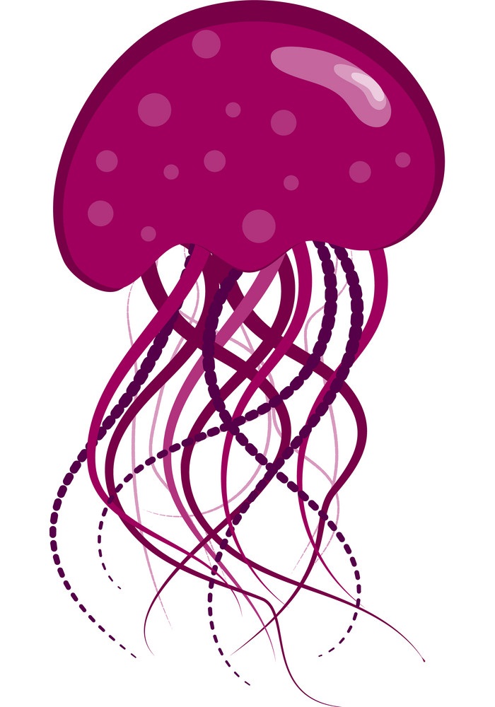 purple jellyfish