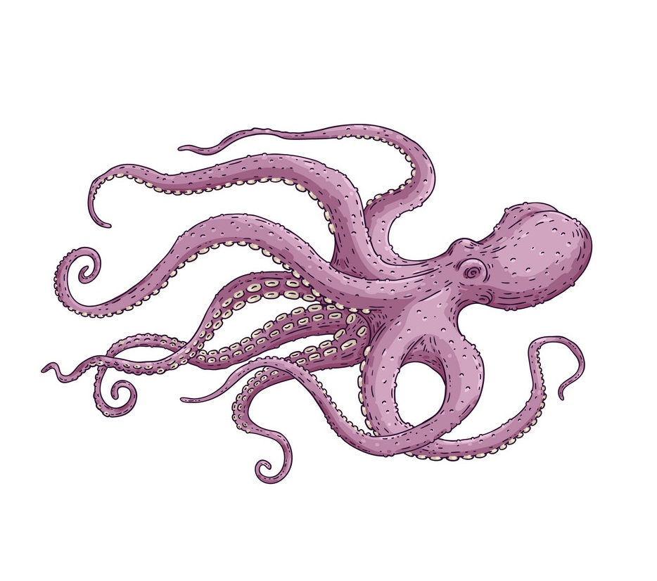 purple octopus with long tentacles