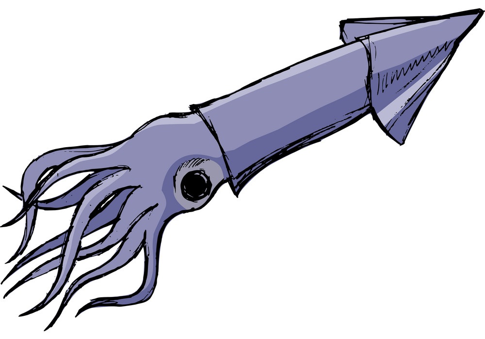 purple squid sketch