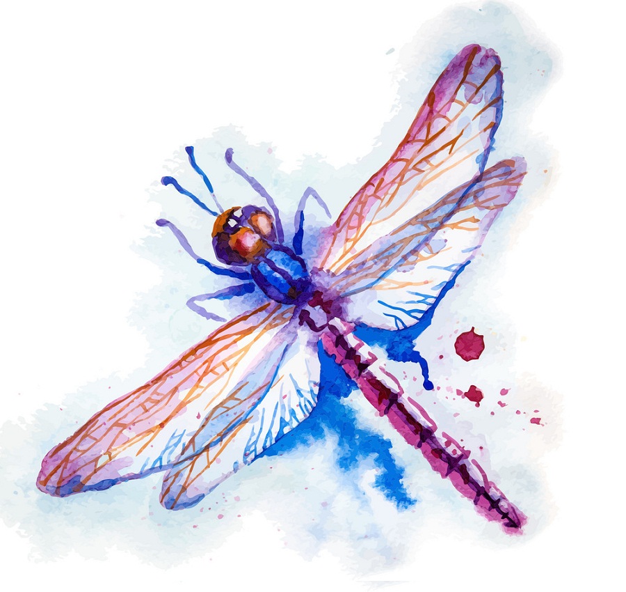 purple watercolor dragonfly