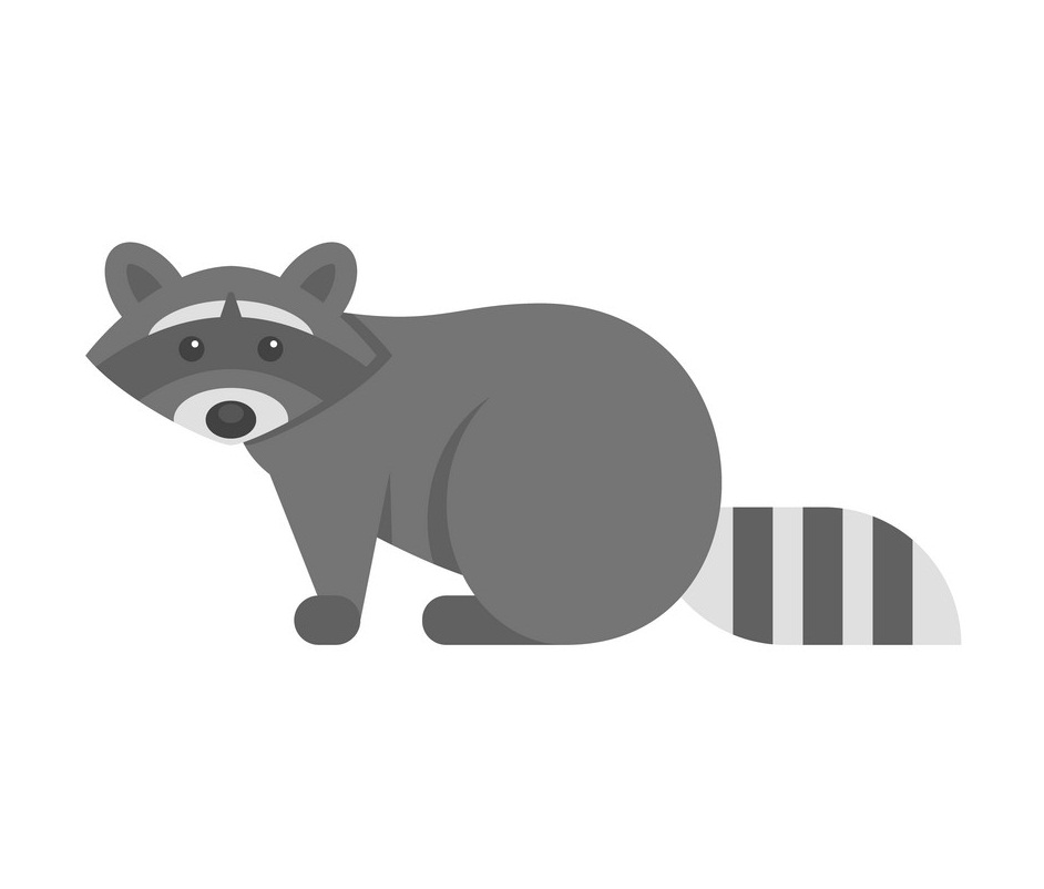 raccoon flat design