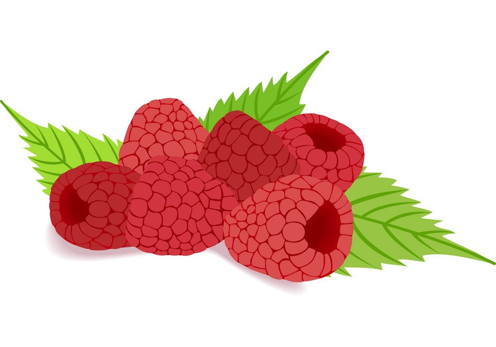raspberries 1