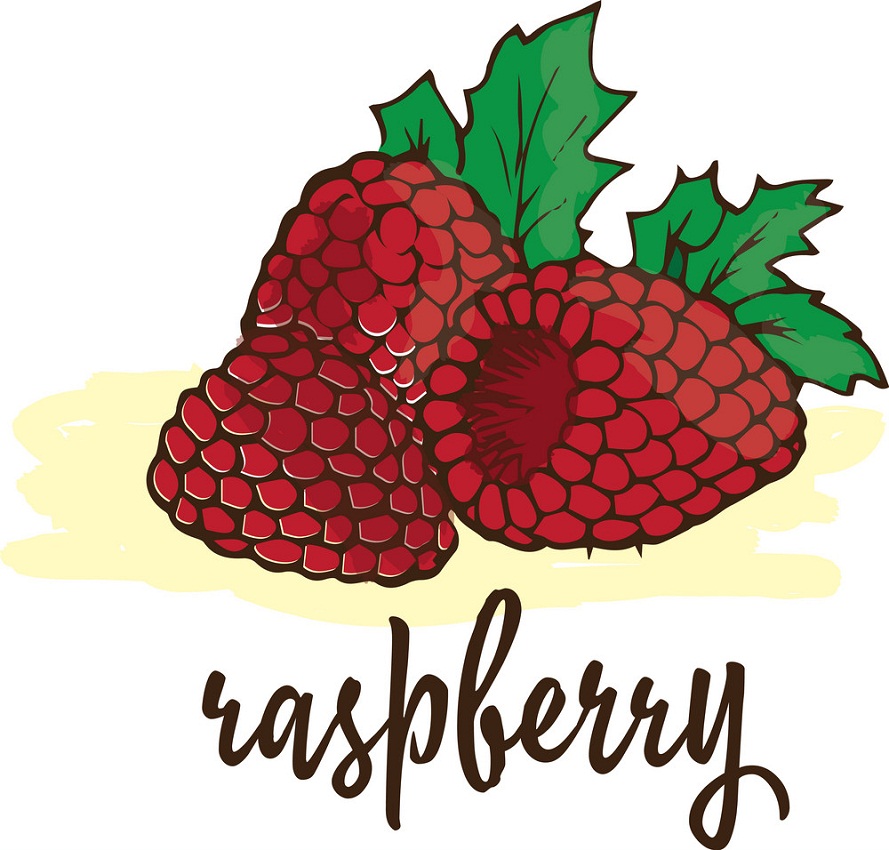 raspberries fruits