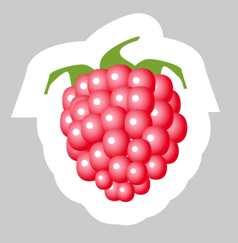 raspberry sticker
