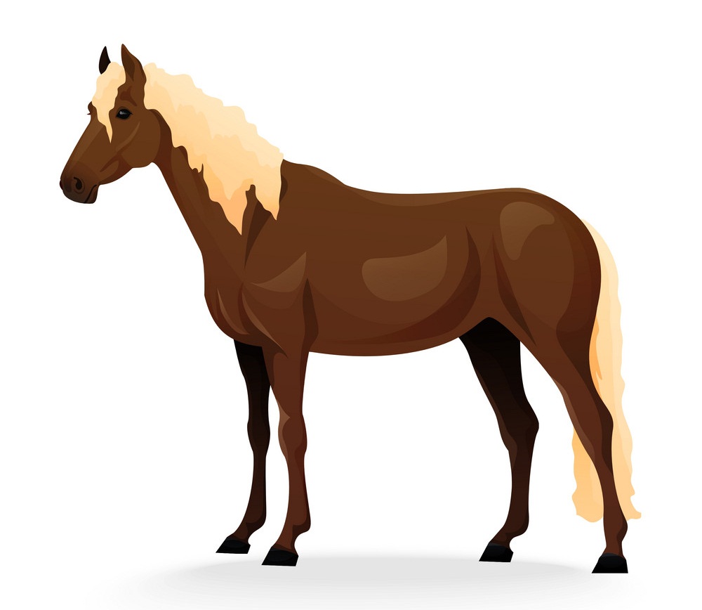 realistic brown horse