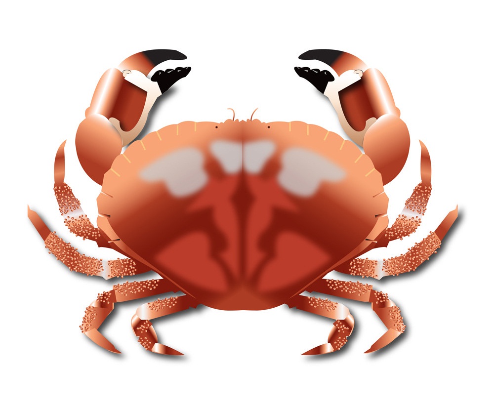 realistic crab