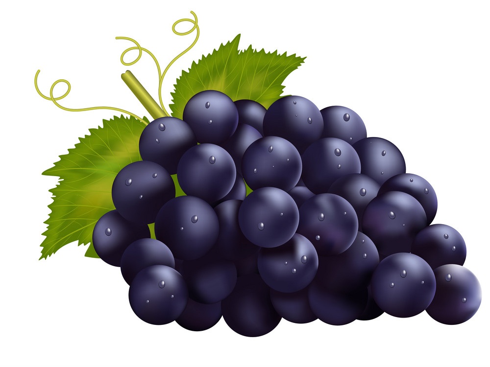 realistic dark grapes