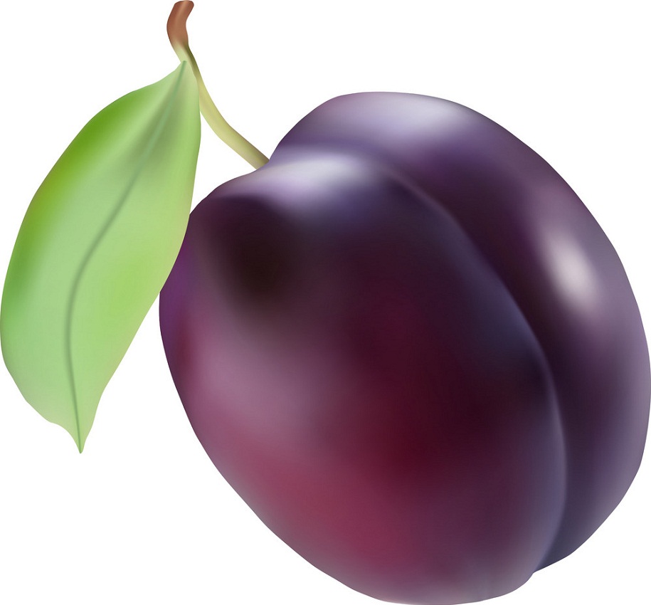 realistic detailed plum fruit