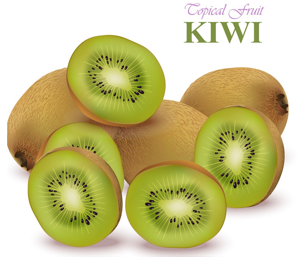 Kiwi Clipart